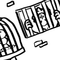 frei wie ein Vogel sein Thumbnail